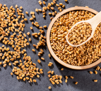 Methi (Fenugreek)